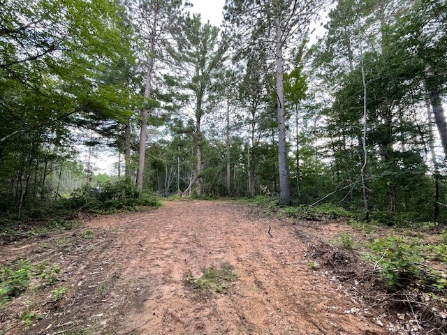 0 Highway 63 Property Photo 10