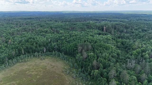 0 Highway 63 Property Photo 13
