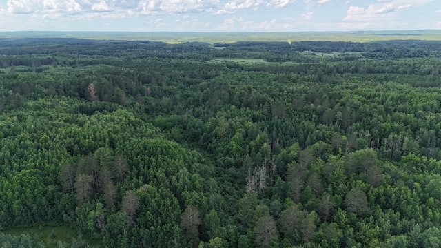 0 Highway 63 Property Photo 14