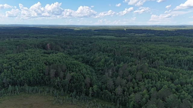 0 Highway 63 Property Photo 15
