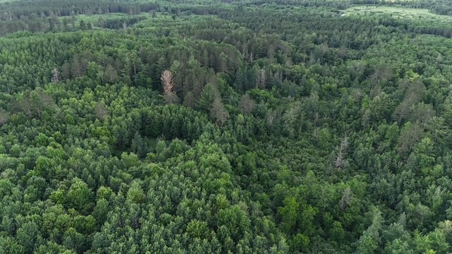 0 Highway 63 Property Photo 17