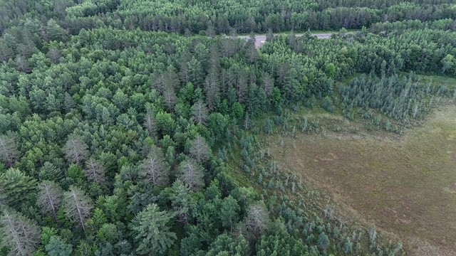 0 Highway 63 Property Photo 19