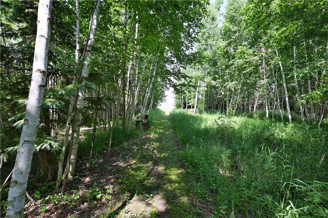 1339 S Lake Drive Property Photo 13