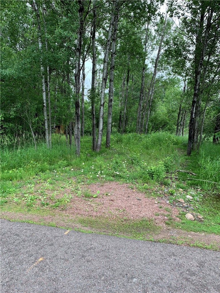 Lots On 9th Avenue S Property Photo 2