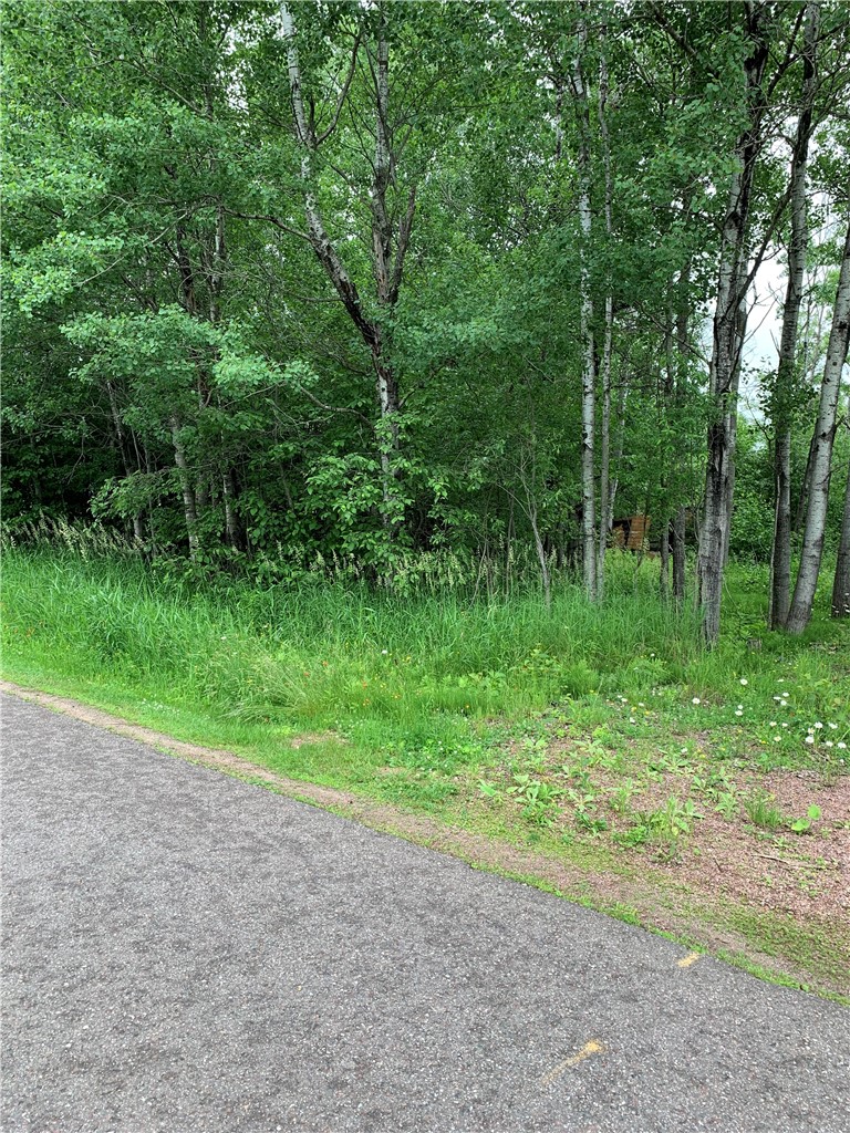 Lots On 9th Avenue S Property Photo 3