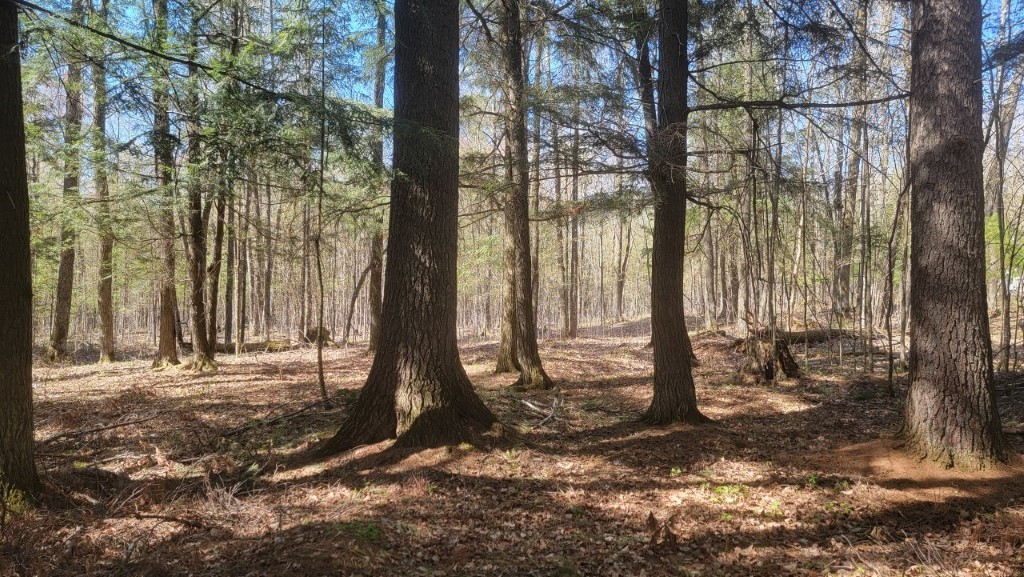 N2233 Highway 13 Property Photo 1