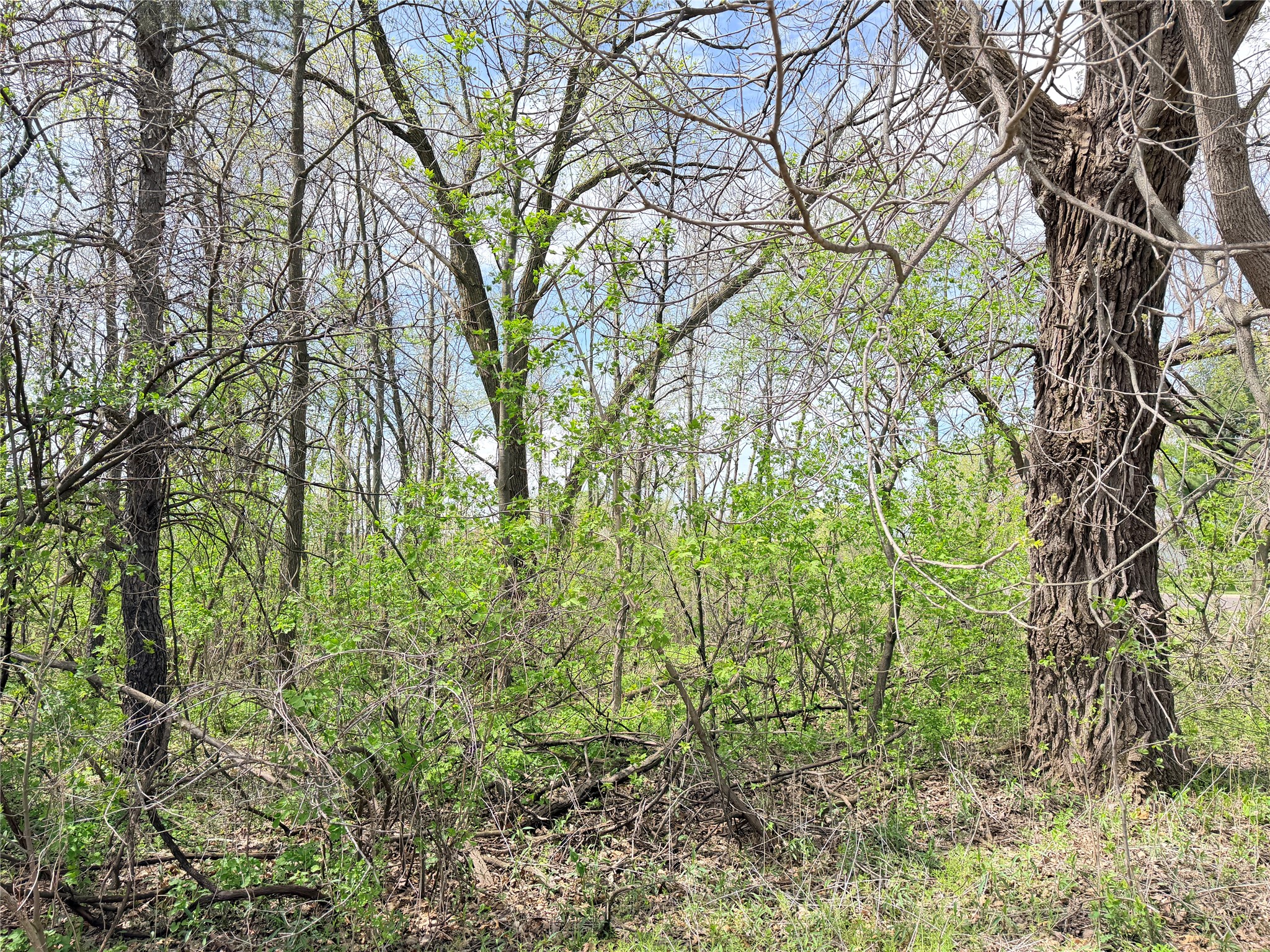 Lot 11 27th Court Property Photo 7
