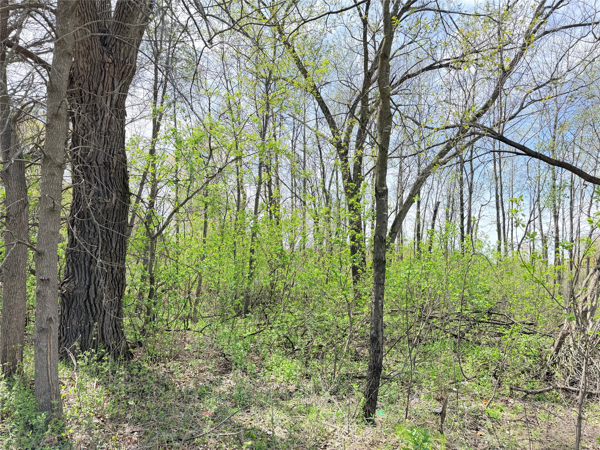 Lot 11 27th Court Property Photo 10