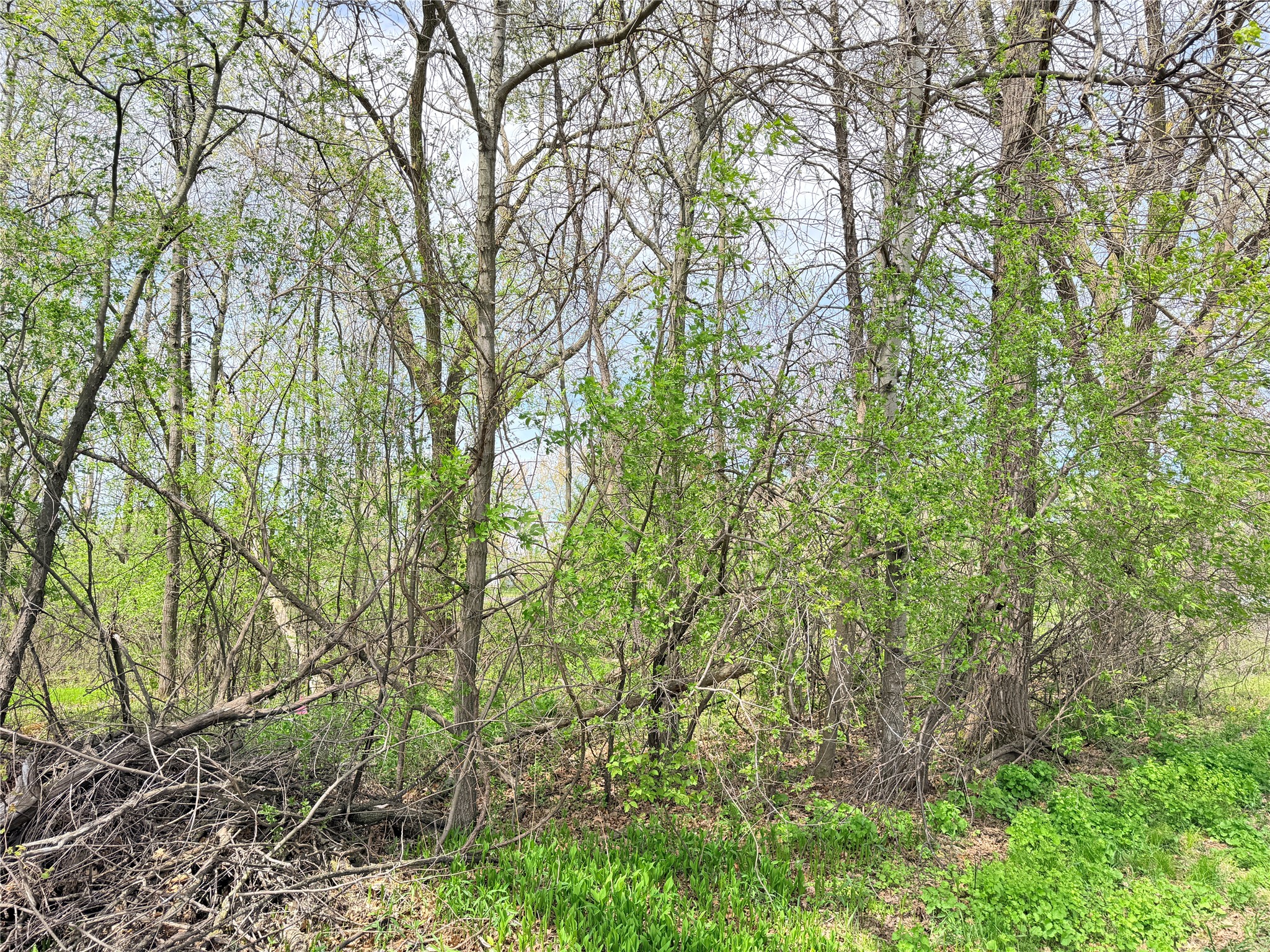 Lot 11 27th Court Property Photo 14
