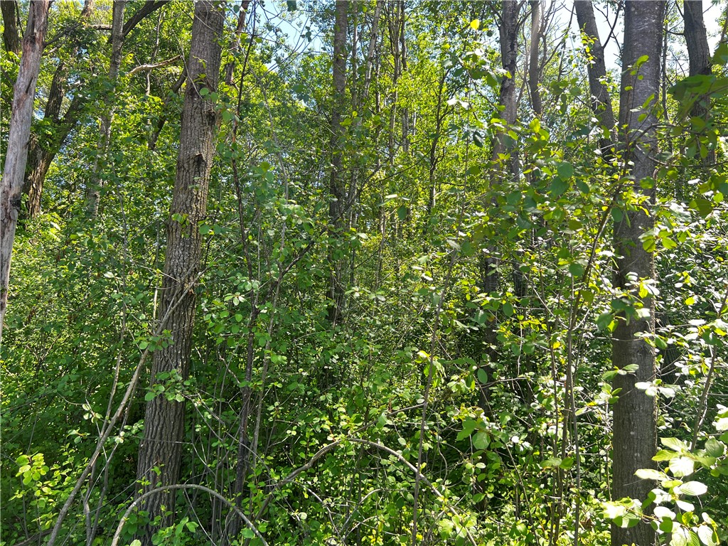 Lot 11 27th Court Property Photo 16