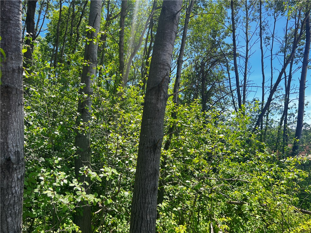 Lot 11 27th Court Property Photo 18