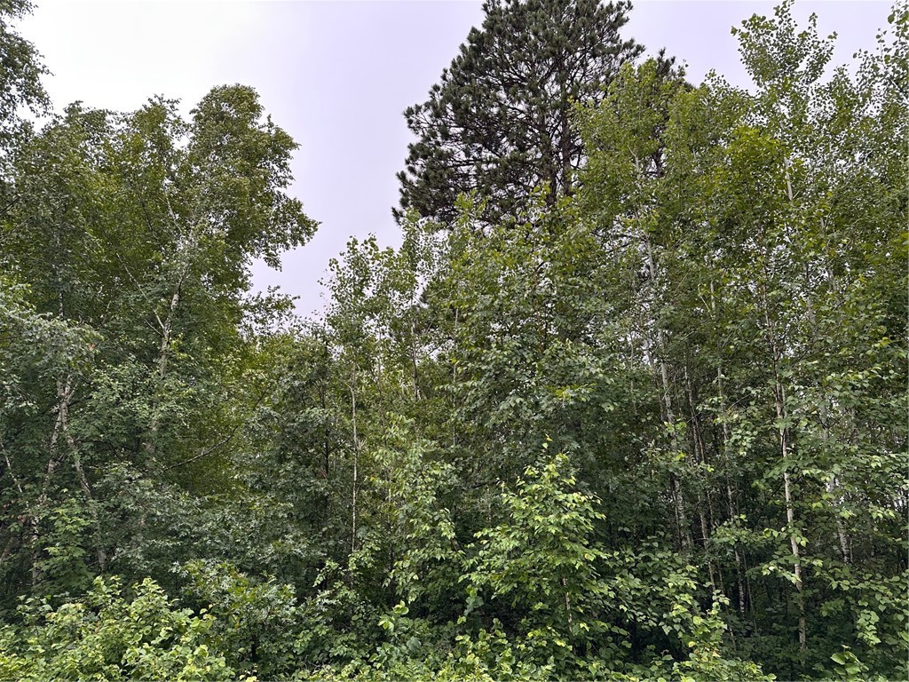 0 Dana Road Property Photo 5