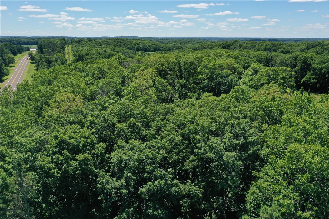 2067 State Highway 87 Property Photo 37