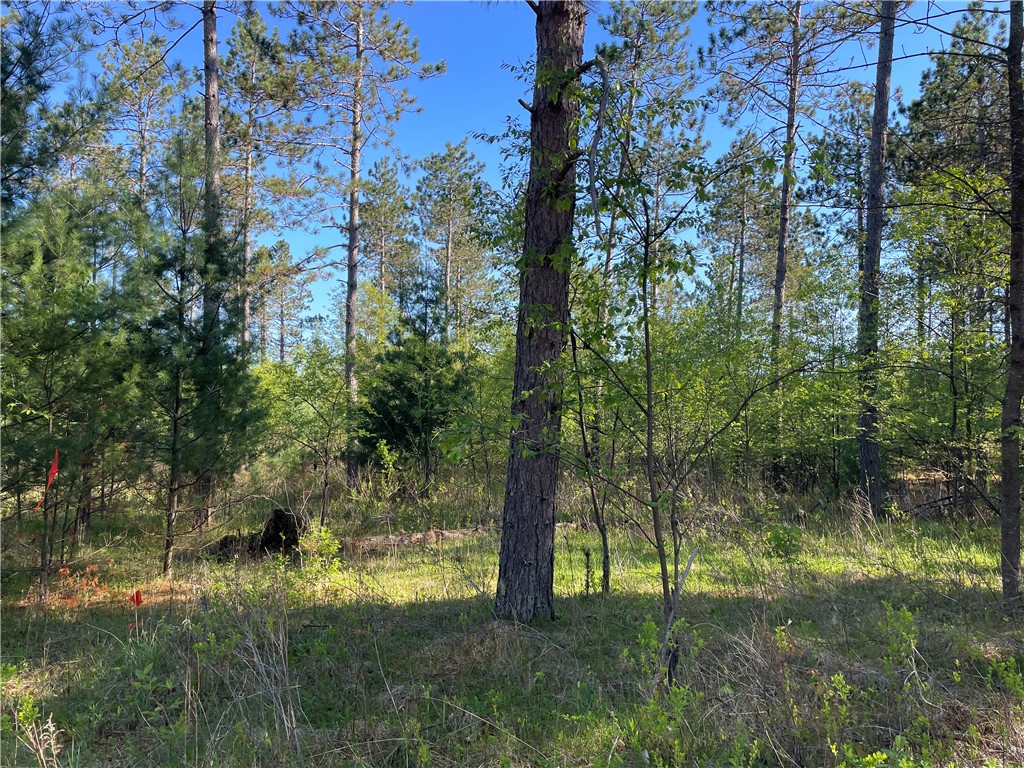 Lot 1 Murphy Boulevard Property Photo 1