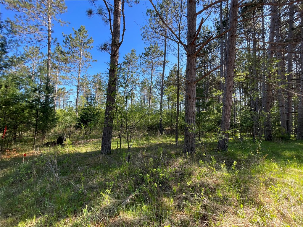 Lot 1 Murphy Boulevard Property Photo 2