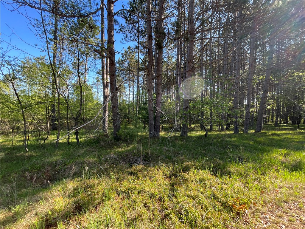 Lot 1 Murphy Boulevard Property Photo 4