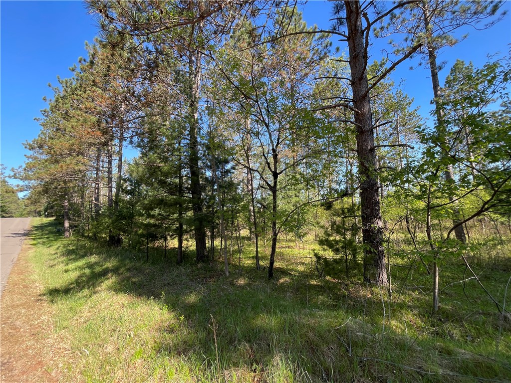 Lot 1 Murphy Boulevard Property Photo 9