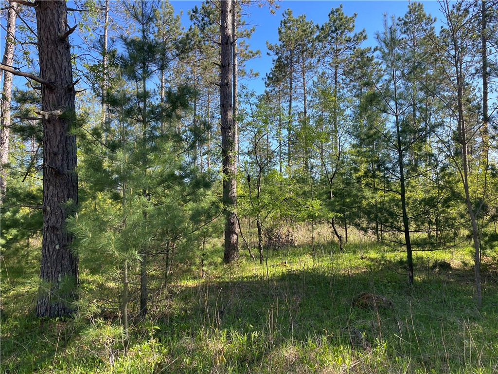 Lot 1 Murphy Boulevard Property Photo 12