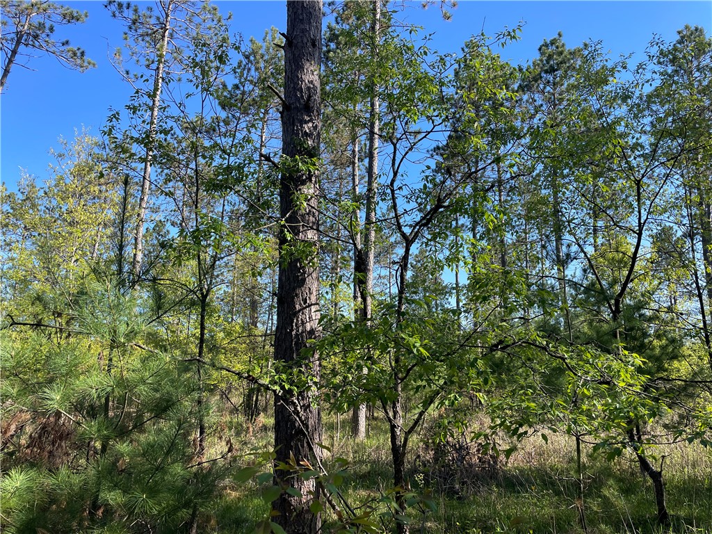 Lot 2 Murphy Boulevard Property Photo 1