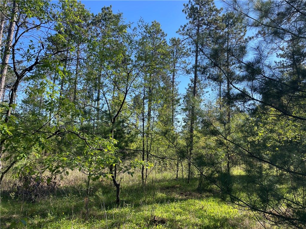 Lot 2 Murphy Boulevard Property Photo 2
