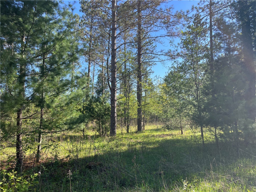 Lot 2 Murphy Boulevard Property Photo 3