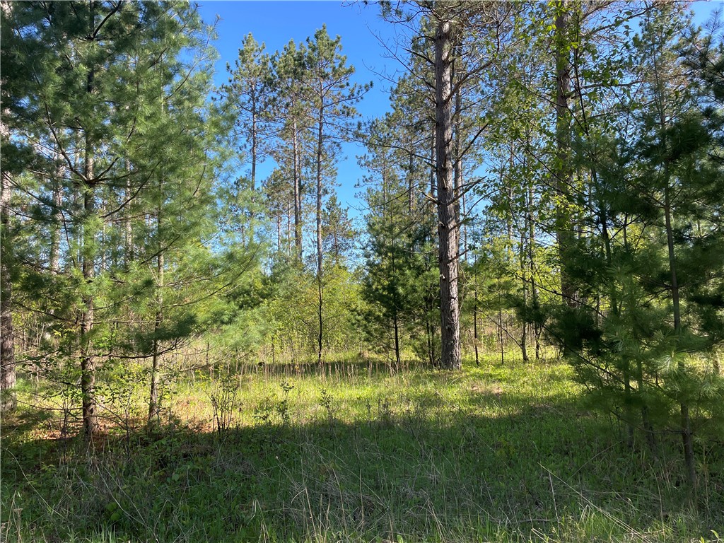 Lot 2 Murphy Boulevard Property Photo 4