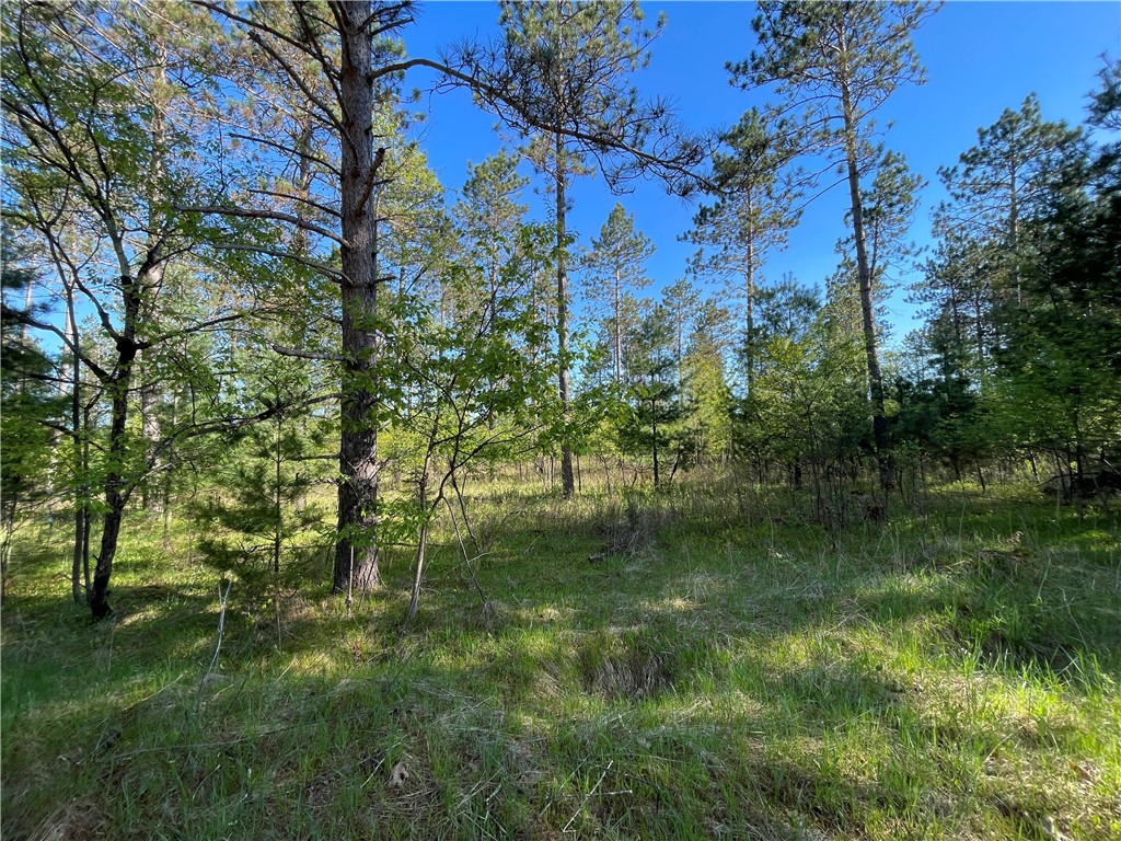 Lot 2 Murphy Boulevard Property Photo 6