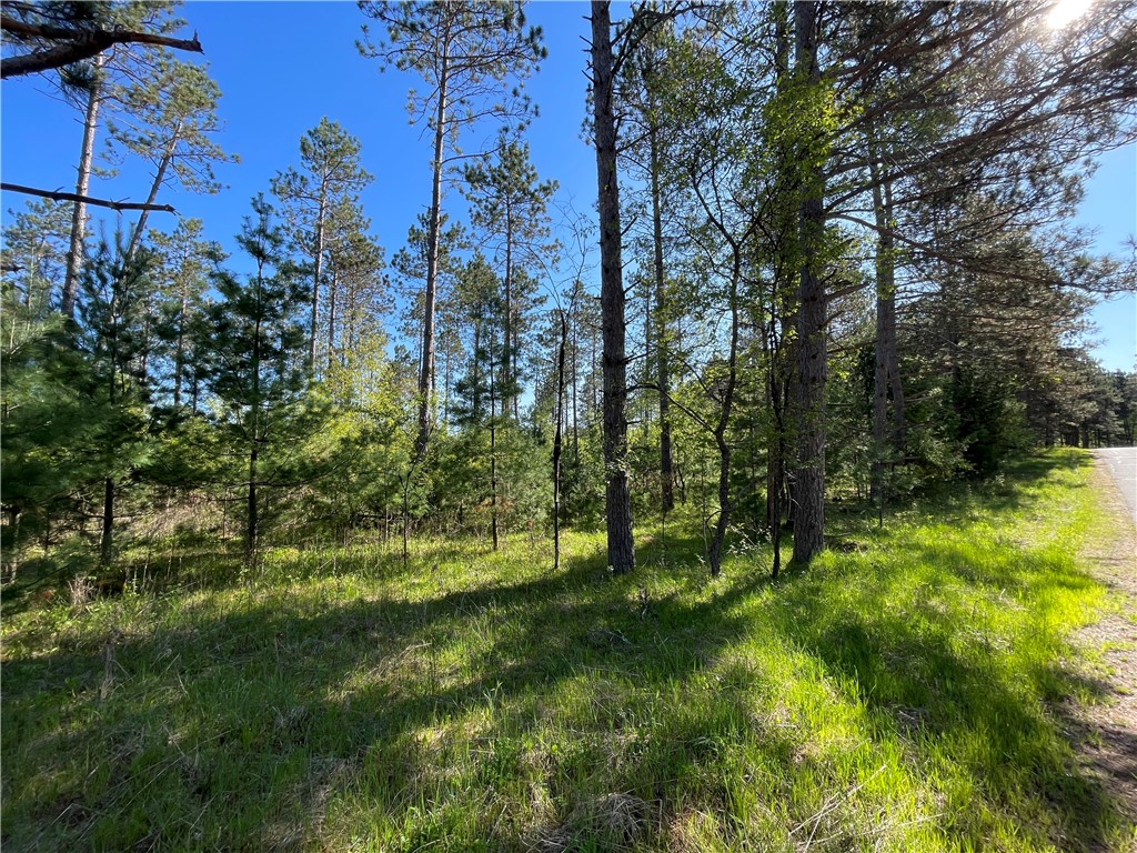 Lot 2 Murphy Boulevard Property Photo 7