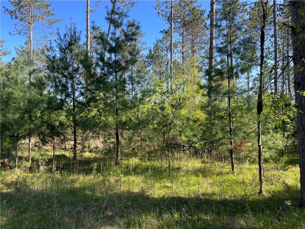 Lot 2 Murphy Boulevard Property Photo 8