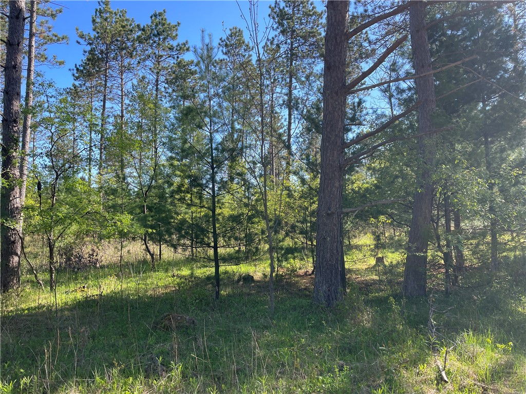 Lot 2 Murphy Boulevard Property Photo 10