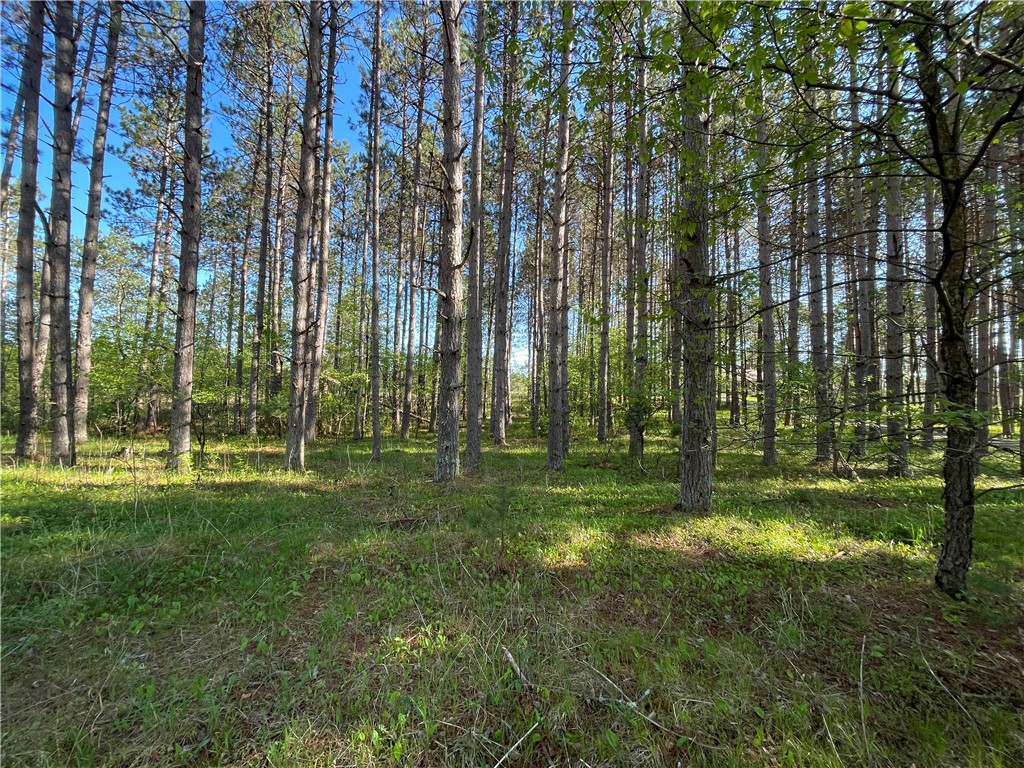 Lot 3 Murphy Boulevard Property Photo 1