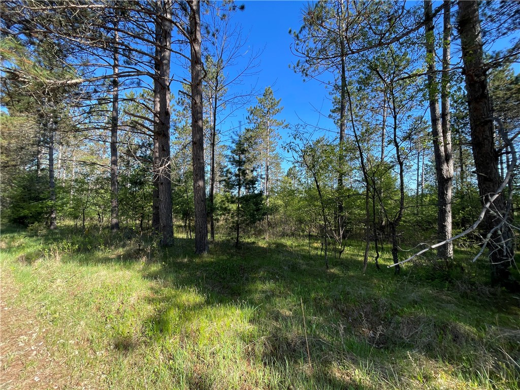 Lot 3 Murphy Boulevard Property Photo 2