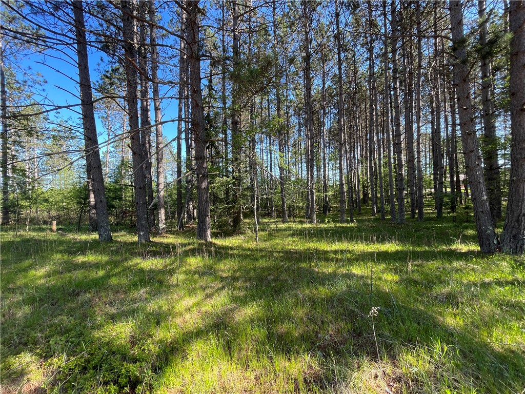 Lot 3 Murphy Boulevard Property Photo 3