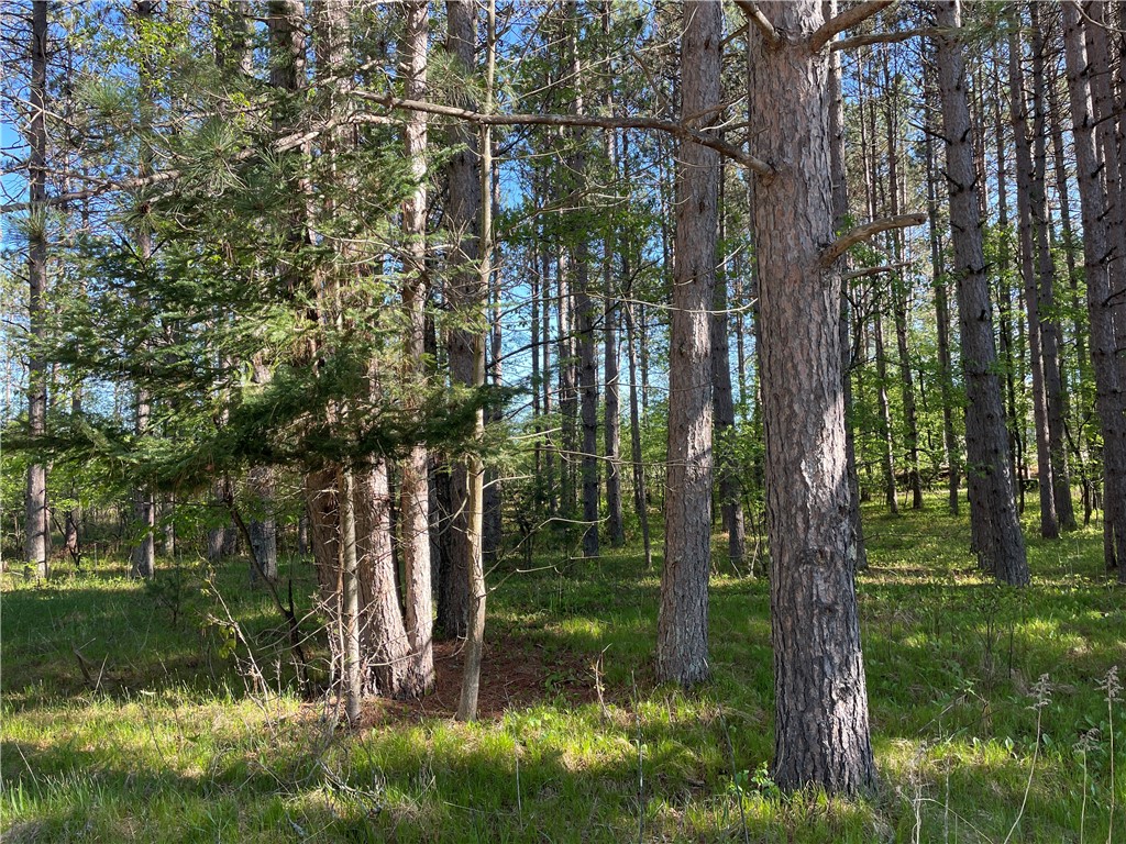 Lot 3 Murphy Boulevard Property Photo 4