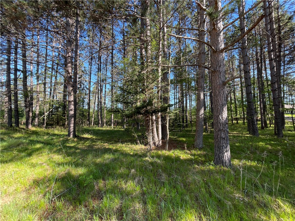 Lot 3 Murphy Boulevard Property Photo 5