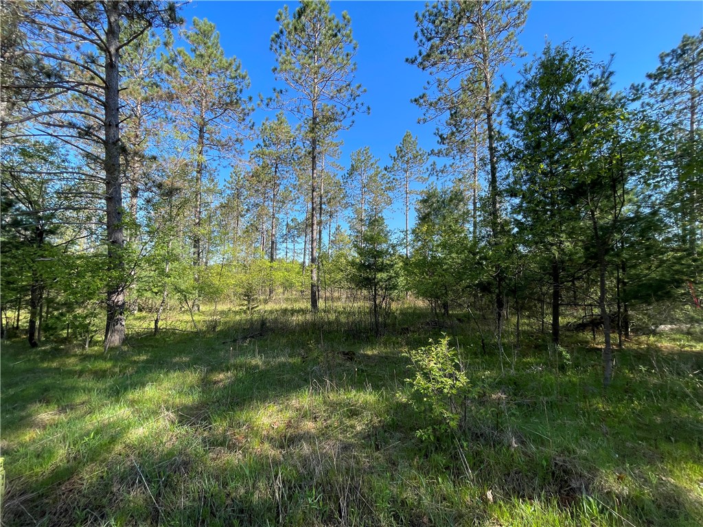 Lot 3 Murphy Boulevard Property Photo 6