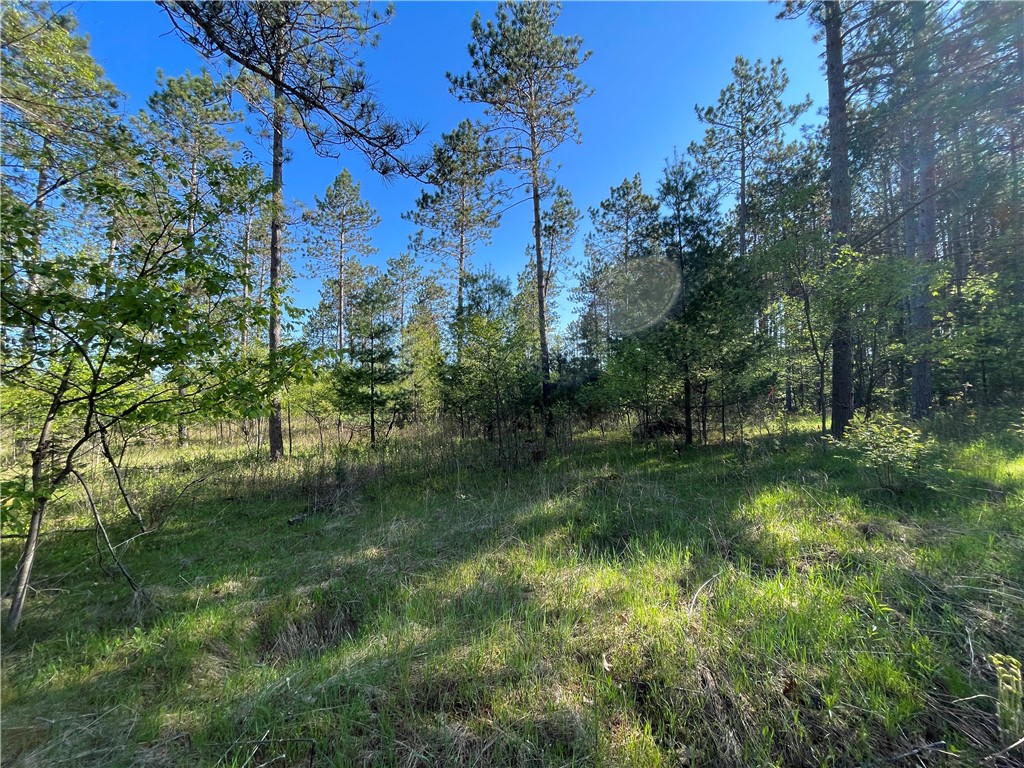 Lot 3 Murphy Boulevard Property Photo 8