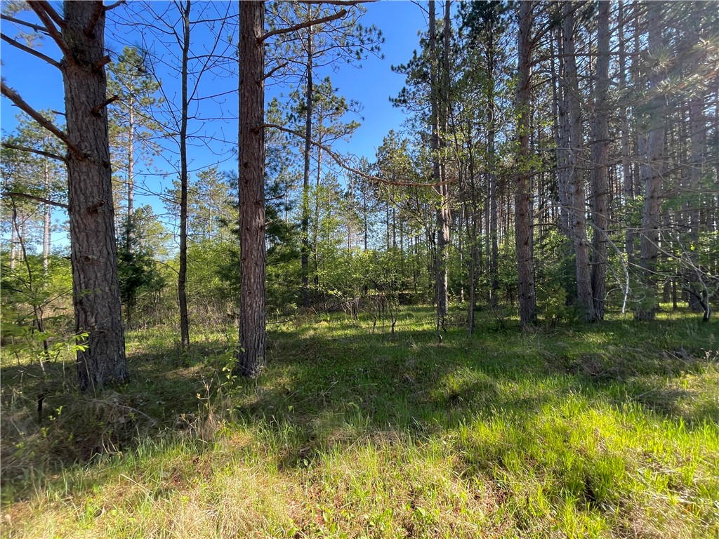 Lot 3 Murphy Boulevard Property Photo 10