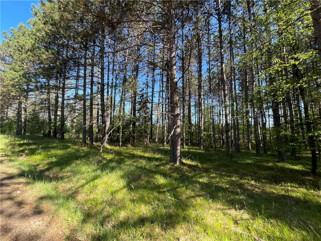 Lot 7 Hermosa Lane Property Photo 23
