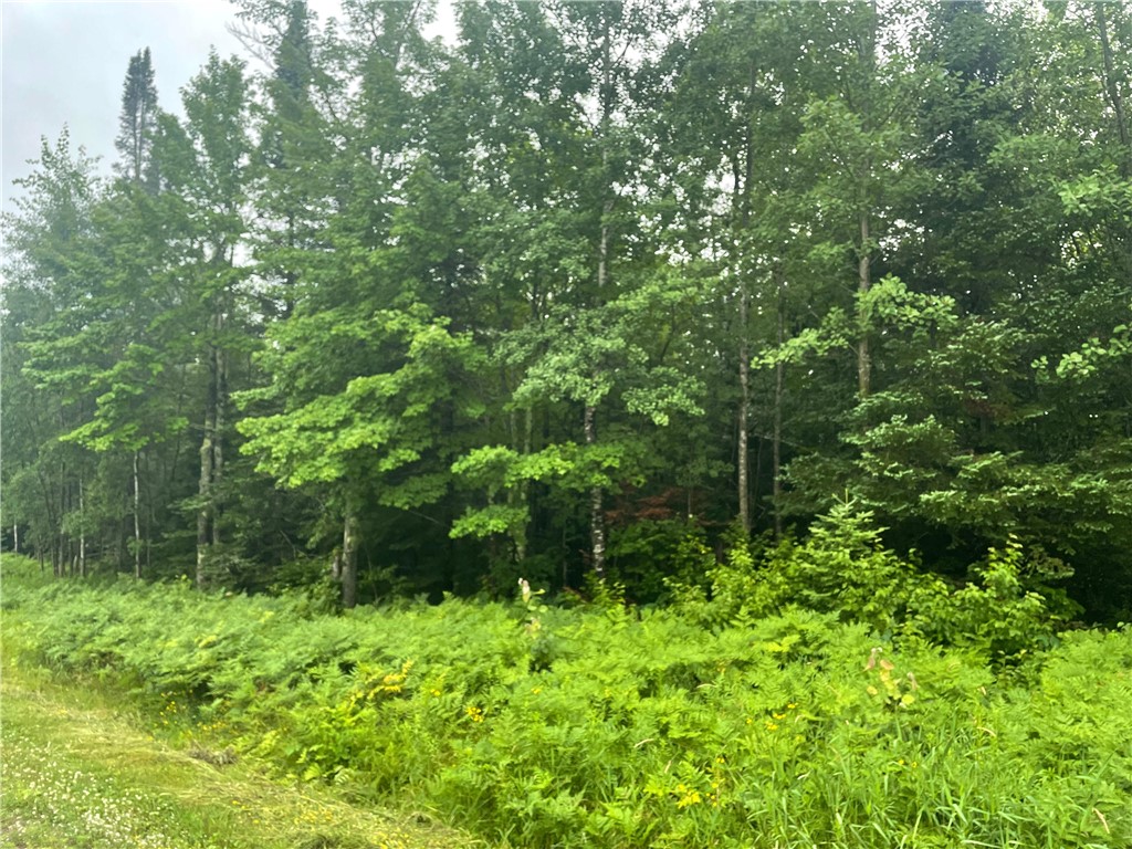 40 Acres Corner Of Cty N And Mackenberg Rd Property Photo 1