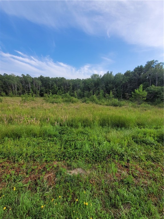0 Hwy 10 Highway Property Photo 1