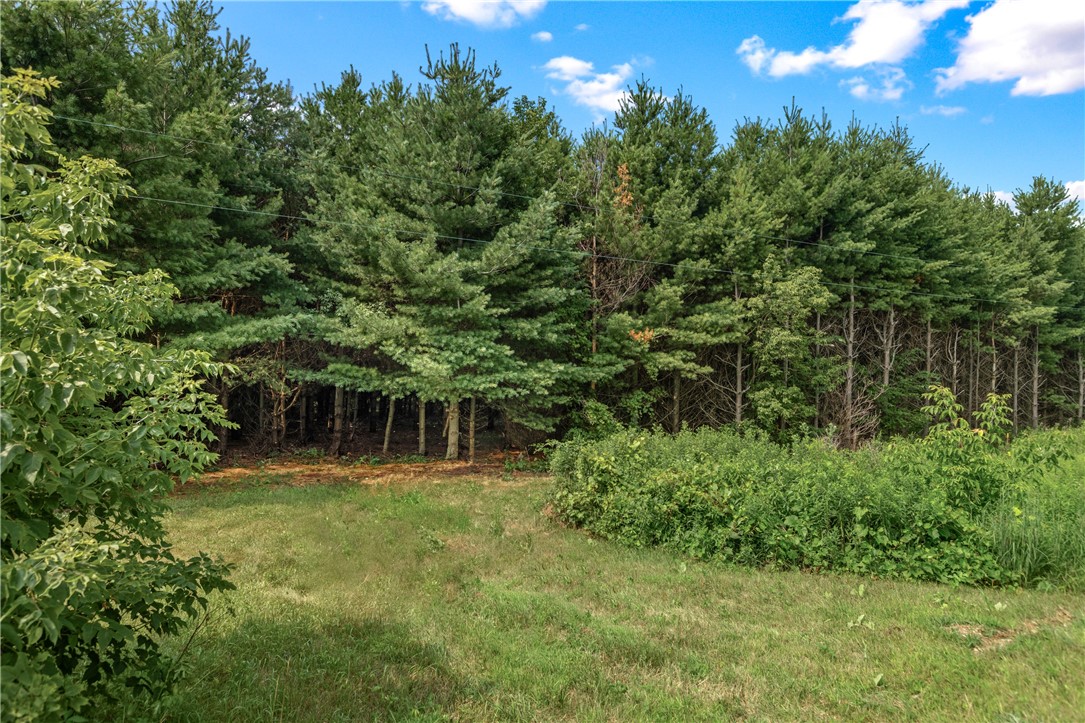 Lot 1 Highway 12 Property Photo 1