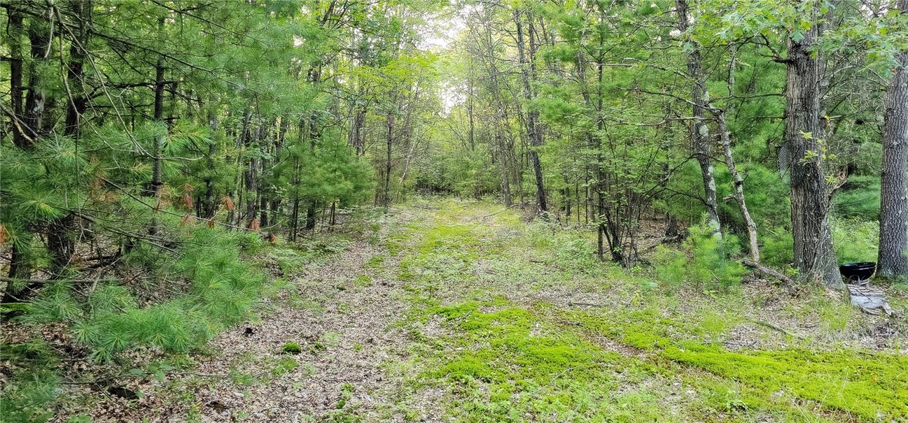 00 W Bauer Road Property Photo 5