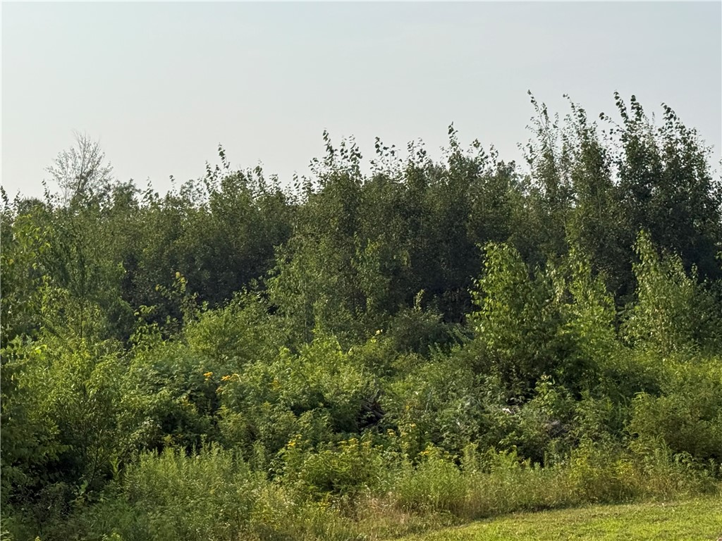 5 Acres 11th Ave Property Photo 1