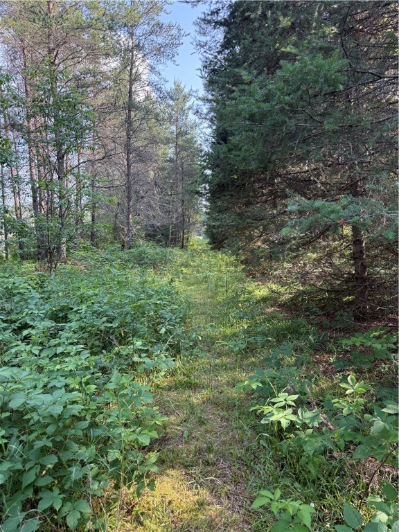 0 Tagalder Trail Property Photo 1