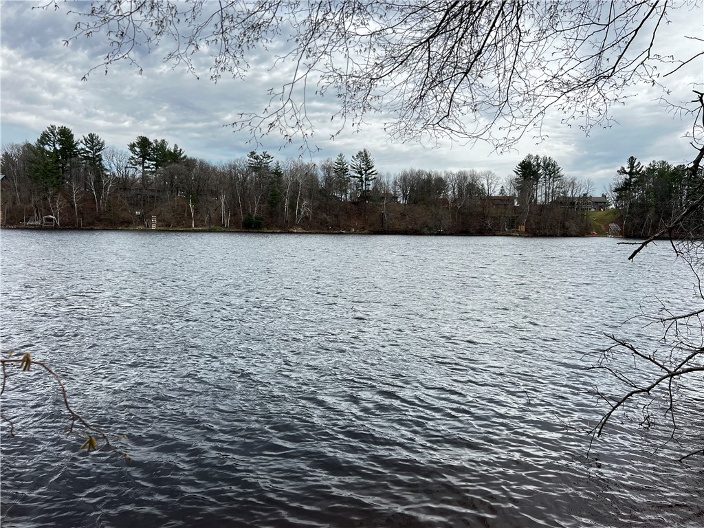 Lot 12 120th Avenue Property Photo 1