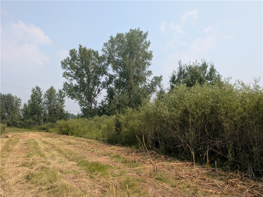 Lot 8 Development Drive Property Photo 4