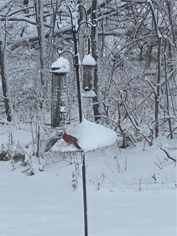 W7581 Town Hall Road Property Photo 7