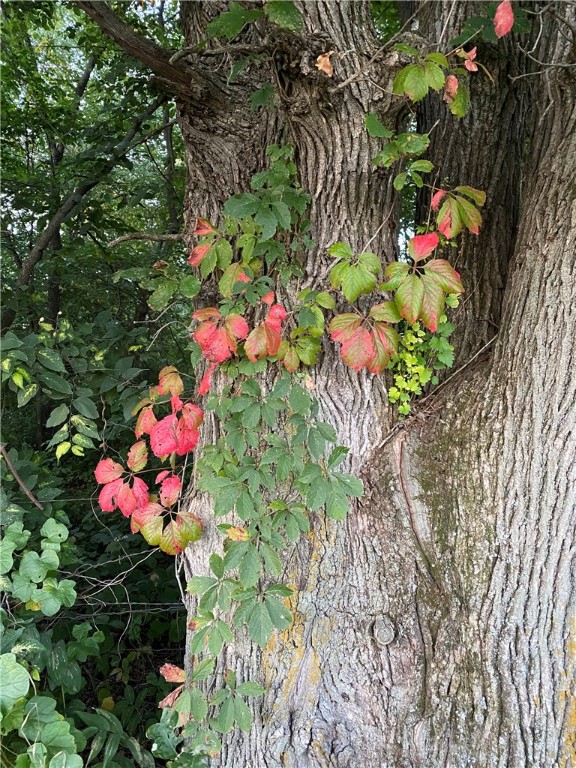 W7581 Town Hall Road Property Photo 8