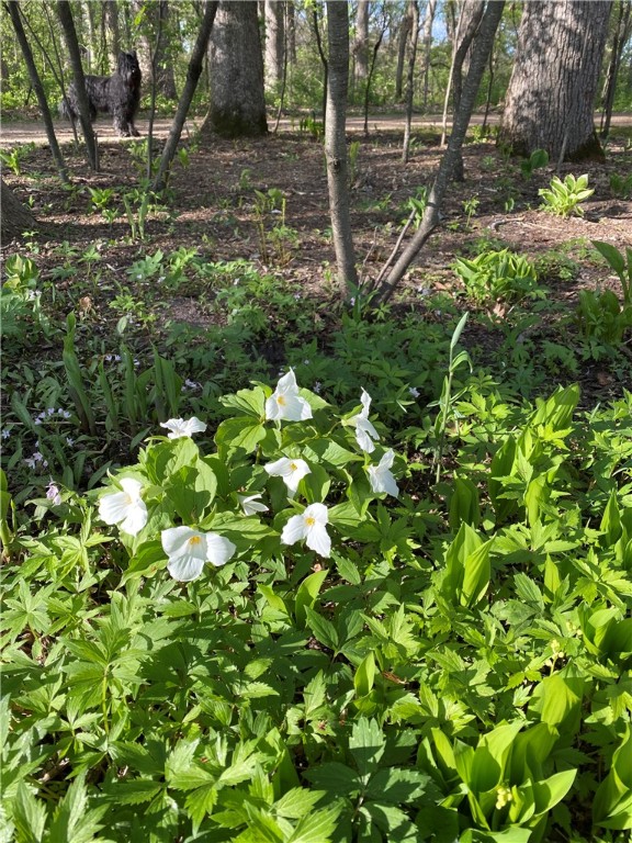 W7581 Town Hall Road Property Photo 40